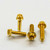 Aluminium Brake & Clutch Lever Perch Pinch Bolt Kit Race Spec Etched Gold