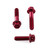 Aluminium Brake & Clutch Lever Perch Pinch Bolt Kit Race Spec Etched Red