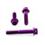 Aluminium Brake & Clutch Lever Perch Pinch Bolt Kit Race Spec Etched Purple