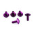 Aluminium Mudguard & Hugger Bolt Kit Purple