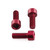 Aluminium Rear Brake Reservoir & Master Cylinder Bolt Kit Red
