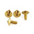 Stainless Steel Chain Guard Bolt Kit Gold