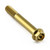 Stainless Steel Flanged Hex Head Bolt M10x(1.25mm)x75mm Gold
