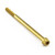 Stainless Steel Socket Cap Bolt M6x(1.00mm)x90mm Gold