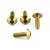 Stainless Steel Mudguard & Hugger Bolt Kit Gold