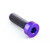 Titanium Parallel Socket Cap M6x(1.00mm)x20mm Flat Head Purple Haze