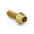 Stainless Steel Reservoir Mount Bolt Rear Brake Gold