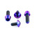 Titanium Rear Brake & Master Cylinder Mount Bolt Kit Purple Haze