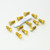 Stainless Steel Disc Bolt To Fit Aprilia/Ducati M8x20mm Pack x12 Gold