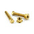 Stainless Steel Axle Adjuster Set M8x45mm 2xBolts 2xNuts Gold