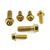 Stainless Steel Mid Engine Mount Bolt Kit Gold