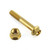 Stainless Steel Exhaust Hanger Mount Bolt Kit Gold