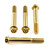 Stainless Steel Front Brake Mounting Bolt Kit Race Spec Gold