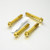 Stainless Steel Front Brake Mounting Bolt Kit Gold