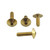 Stainless Steel Heel Plate Bolt Kit Gold