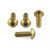 Stainless Steel Pillion Footrest Hanger Bolt Kit Gold