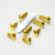 Stainless Steel Rider Footrest Hanger Bolt Kit Gold