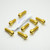 Stainless Steel Rider Footrest Hanger Bolt Kit Gold