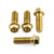 Stainless Steel Rider Footrest Hanger Bolt Kit Gold