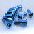 Titanium Disc Bolt To Fit Triumph M8x30mm Pack x12 Blue
