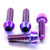 Titanium Brake & Clutch Lever Perch Pinch Bolt Kit Purple Haze