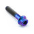 Titanium DualDrive Bolt M5x(0.80mm)x25mm Race Spec Purple Haze