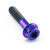 Titanium DualDrive Bolt M6x(1.00mm)x30mm Race Spec Purple Haze