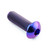 Titanium Disc Bolt To Fit BMW/KTM M8x25mm Purple Haze