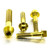 Titanium Exhaust Mount Bolt Kit Gold