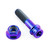 Titanium Exhaust Mount Bolt Kit Flanged Socket Cap Race Spec Purple Haze