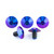 Titanium Exhaust Heat Shield Mount Bolt Kit Purple Haze