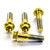 Titanium Front Axle Pinch Bolt Kit Gold