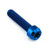 Titanium Front Axle Pinch Bolt Kit Torx Drive Blue