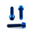 Titanium Front Brake Caliper Pinch Bolt Kit Blue