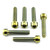 Titanium Front Caliper Pinch Bolt Kit Torx Drive Gold