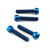 Titanium Front Caliper Pinch Bolt Kit Torx Drive Blue