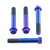 Titanium Front Brake Caliper Mount Bolt Kit Race Spec Purple Haze