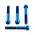 Titanium Front Brake Caliper Mount Bolt Kit Torx Drive Blue