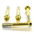 Titanium Front Brake Radial Caliper Mount Bolt Kit M10x(1.25mm)x70mm DualDrive Gold