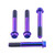 Titanium Front Brake Radial Caliper Mount Bolt Kit M10x(1.25mm)x70mm Race Spec Purple Haze
