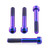 Titanium Front Brake Radial Caliper Mount Bolt Kit M10x(1.25mm)x65mm Torx Drive Purple Haze