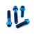 Titanium Grab Rail Bolt Kit Blue