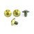 Titanium Heel Plate Bolt Kit Gold