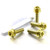 Titanium Pillion Footrest Hanger Bolt Kit DualDrive Gold