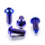 Titanium Rider Footrest Hanger Bolt Kit Blue
