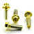 Titanium Rider Footrest Hanger Bolt Kit Gold