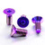 Titanium Rider Footrest Hanger Bolt Kit Purple Haze