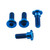 Titanium Rider Footrest Hanger Bolt Kit Blue