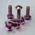 Titanium Rider Footrest Hanger Bolt Kit Purple Haze
