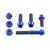 Titanium Rider Footrest Hanger Bolt Kit Purple Haze